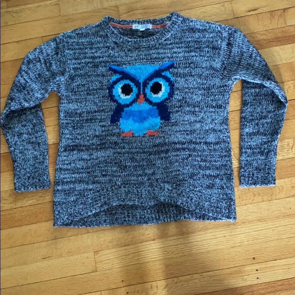 Owl Sweater